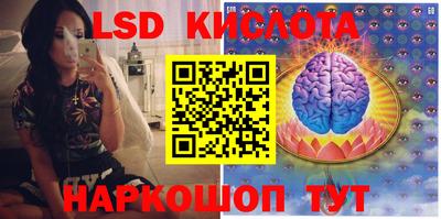 стафф Свободный