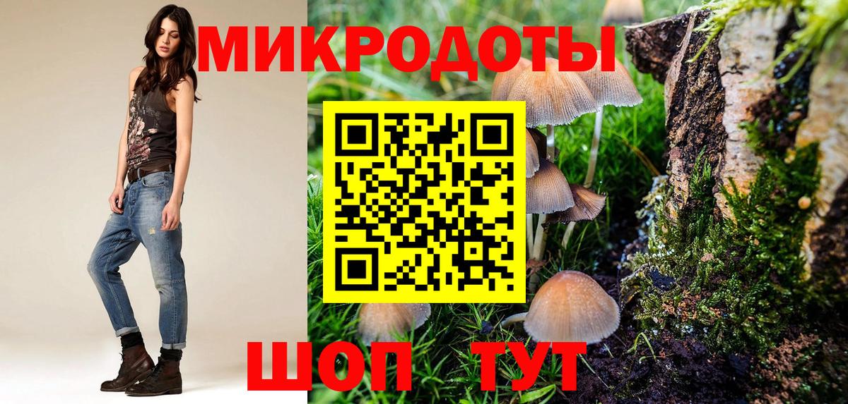 Ахтубинск  Псилоцибиновые грибы MAGIC MUSHROOMS  Вход с VPN 